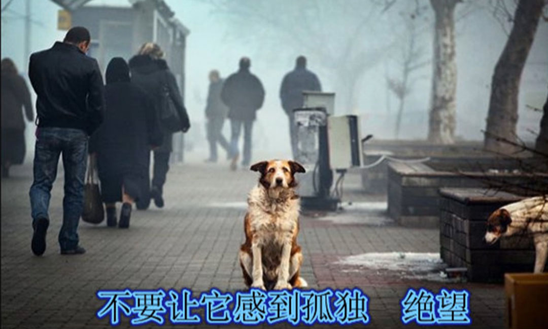 五家渠五家渠爱影圈微博微信转发案例